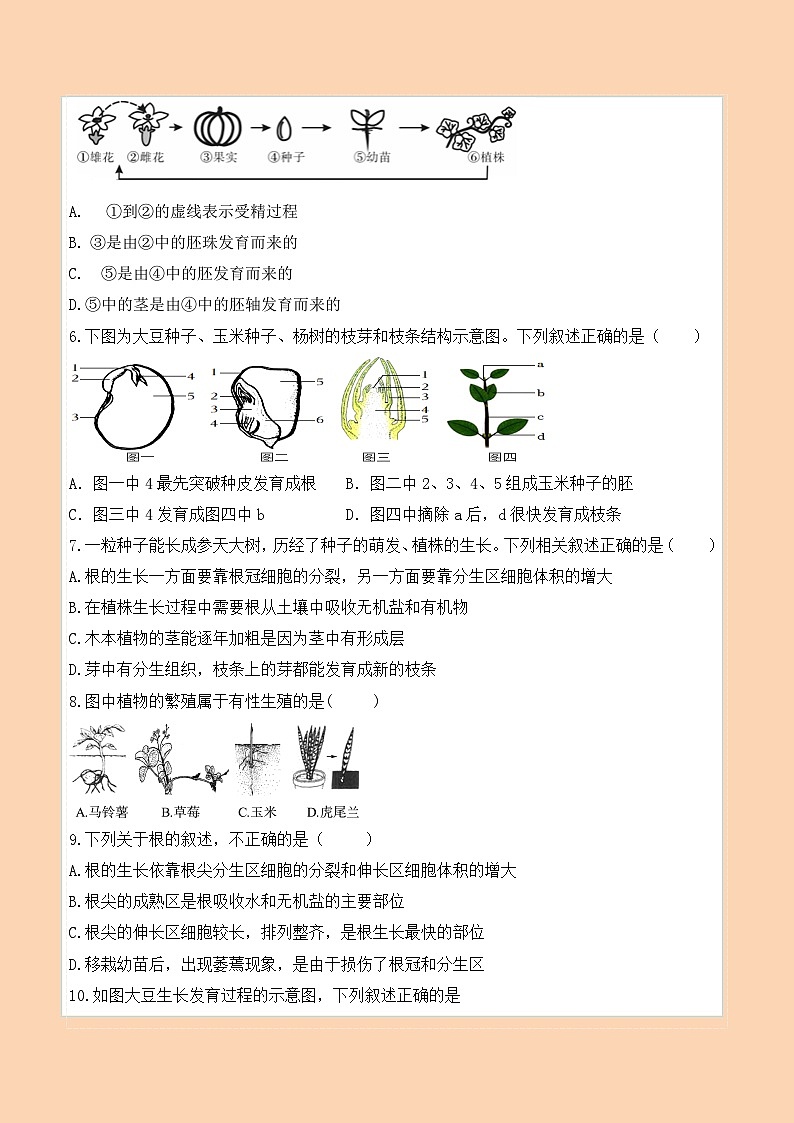 山东省齐河县潘店镇中学2023-2024学年八年级上学期生物期末质量检测模拟试题+第2页