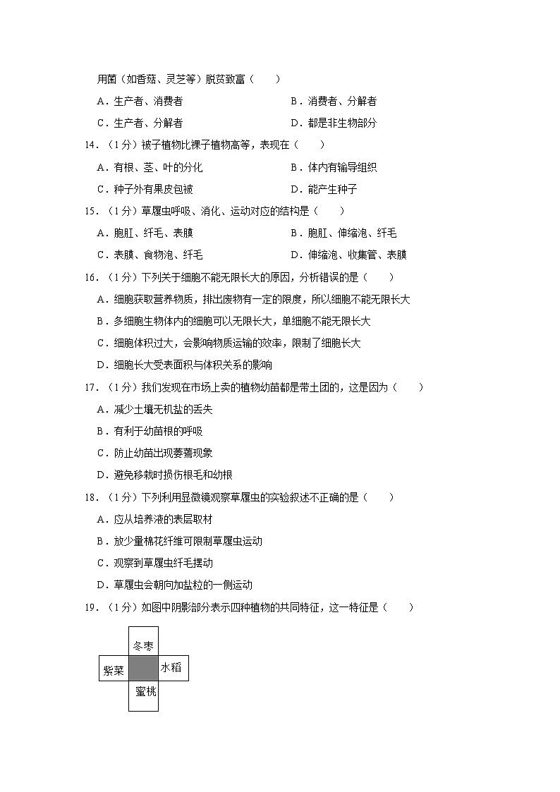 甘肃省陇南市康县2023-2024学年七年级上学期期末生物试卷第3页