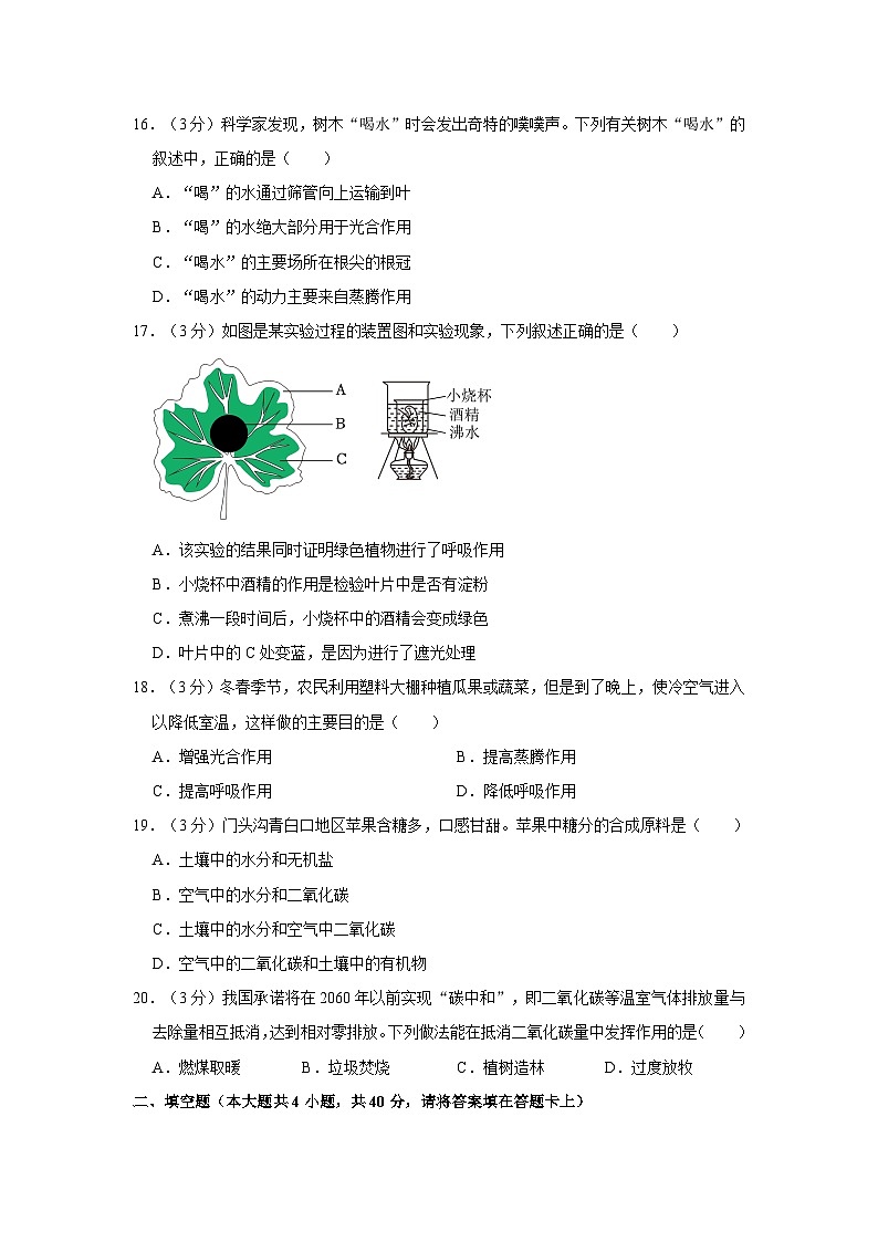 湖北省武汉市青山区2023-2024学年七年级上学期期末生物试卷03