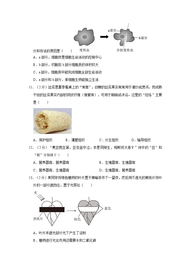 四川省成都市双流区2023-2024学年七年级上学期期末生物试卷第3页