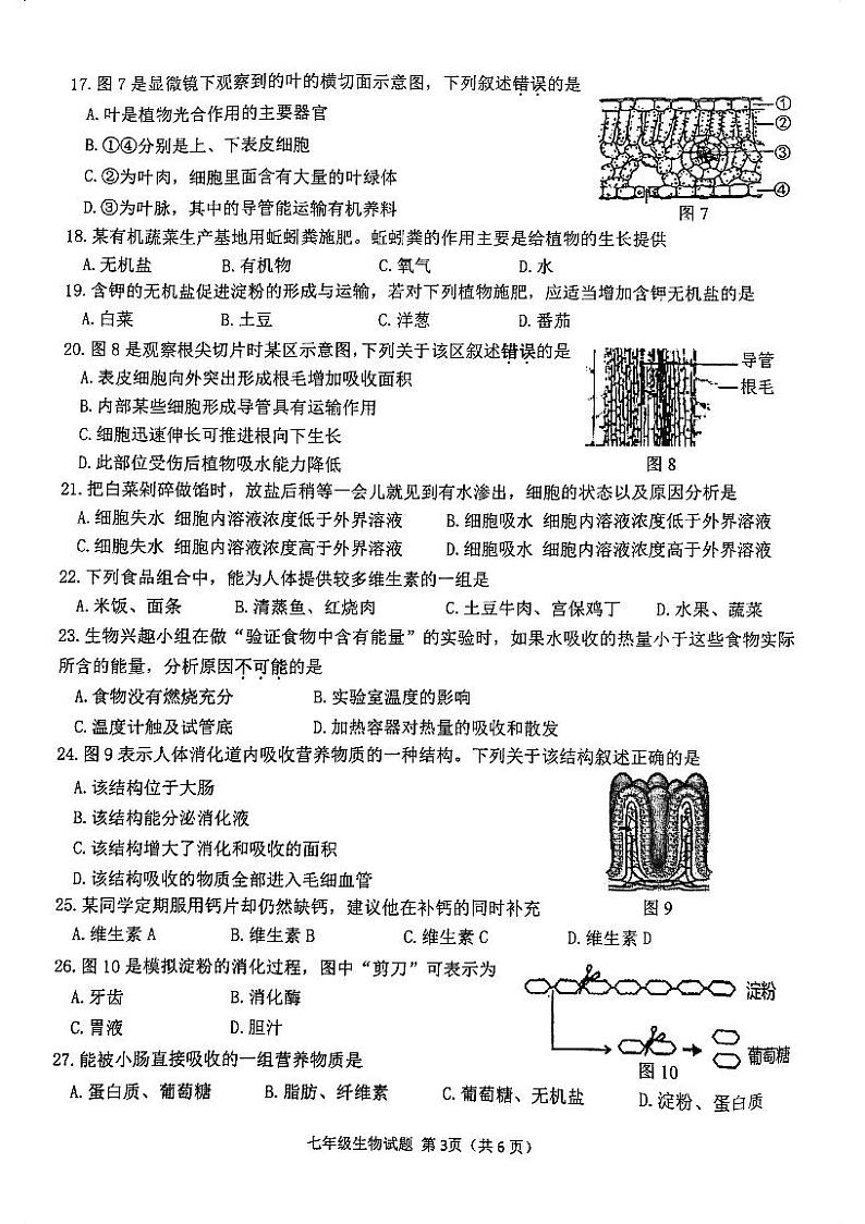 江苏省徐州市2023_2024学年七年级上学期期末生物试题03