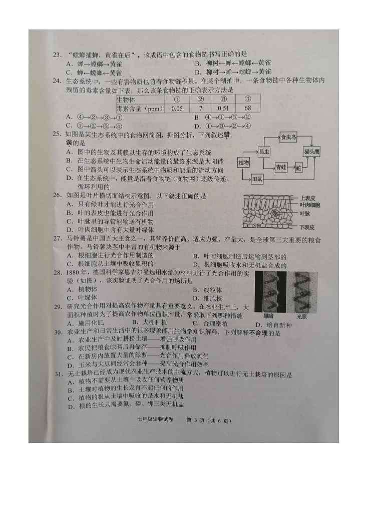 江苏省无锡市2023—2024学年七年级上学期期末考生物试卷03