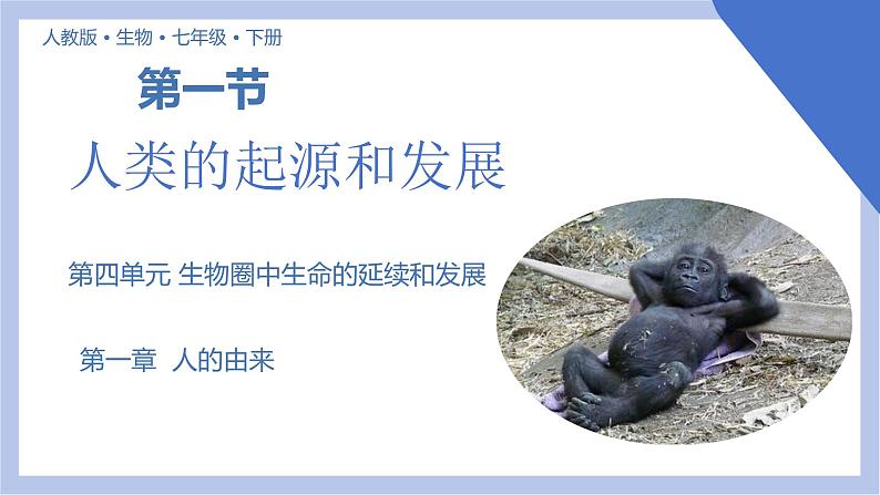 【核心素养】人教版初中生物七年级下册4.1.1《人类的起源和发展》课件第1页