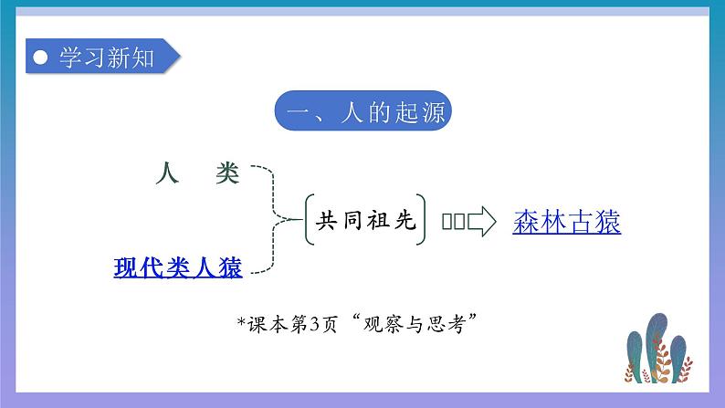 【核心素养】人教版初中生物七年级下册4.1.1《人类的起源和发展》课件第7页