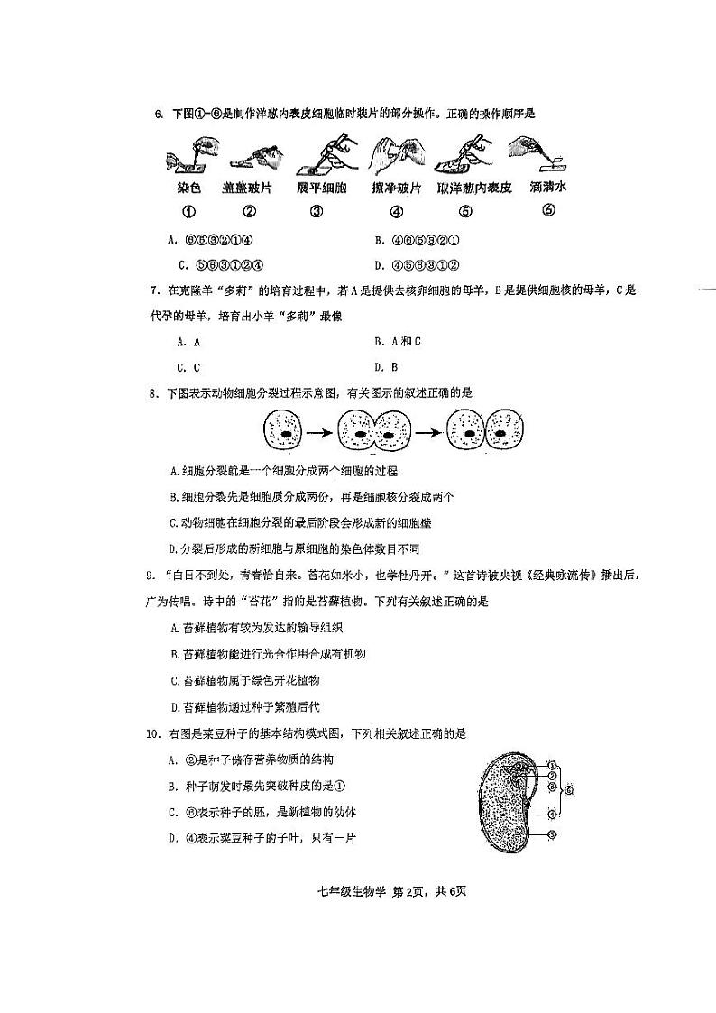 广西南宁市2023-2024学年七年级上学期期末生物试题第2页