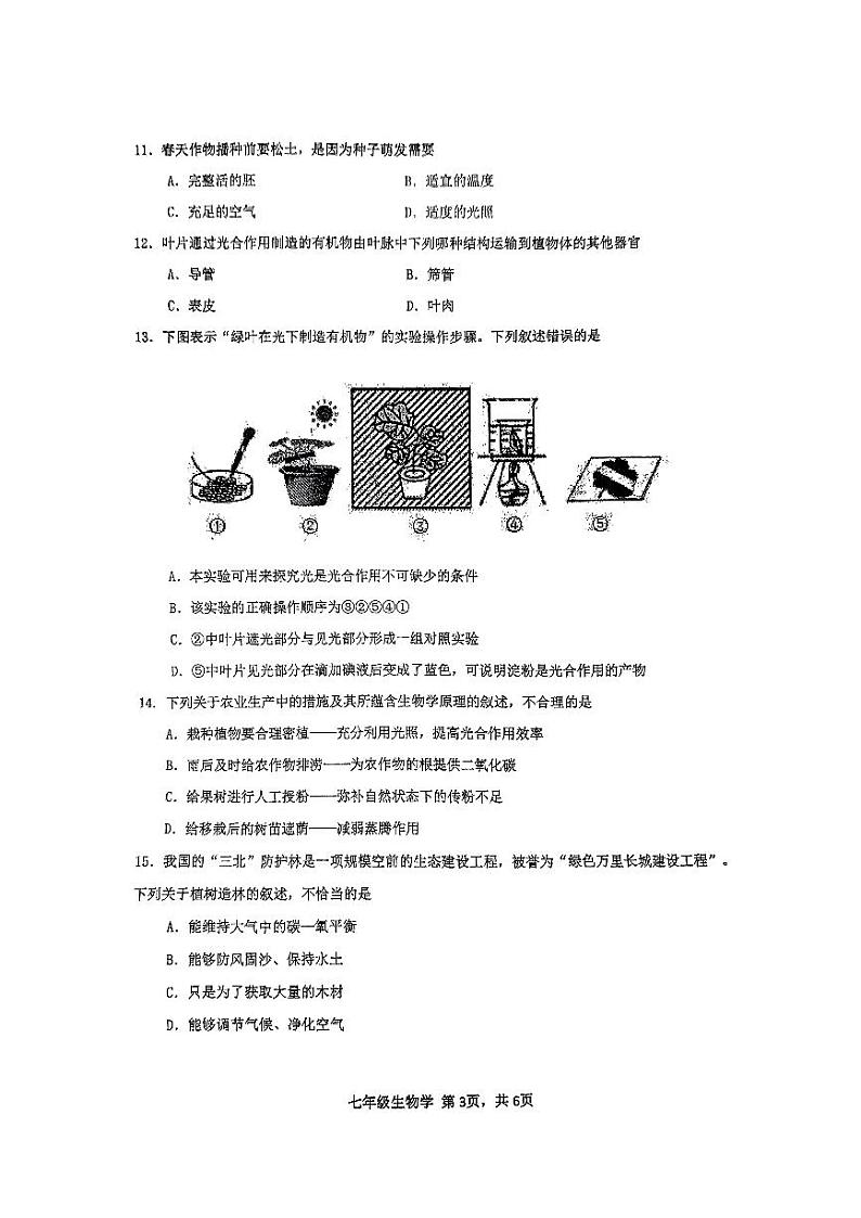 广西南宁市2023-2024学年七年级上学期期末生物试题第3页