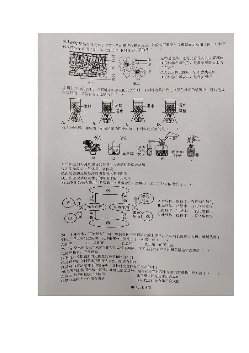 海南省澄迈县2023-2024学年七年级上学期期末检测生物试题03