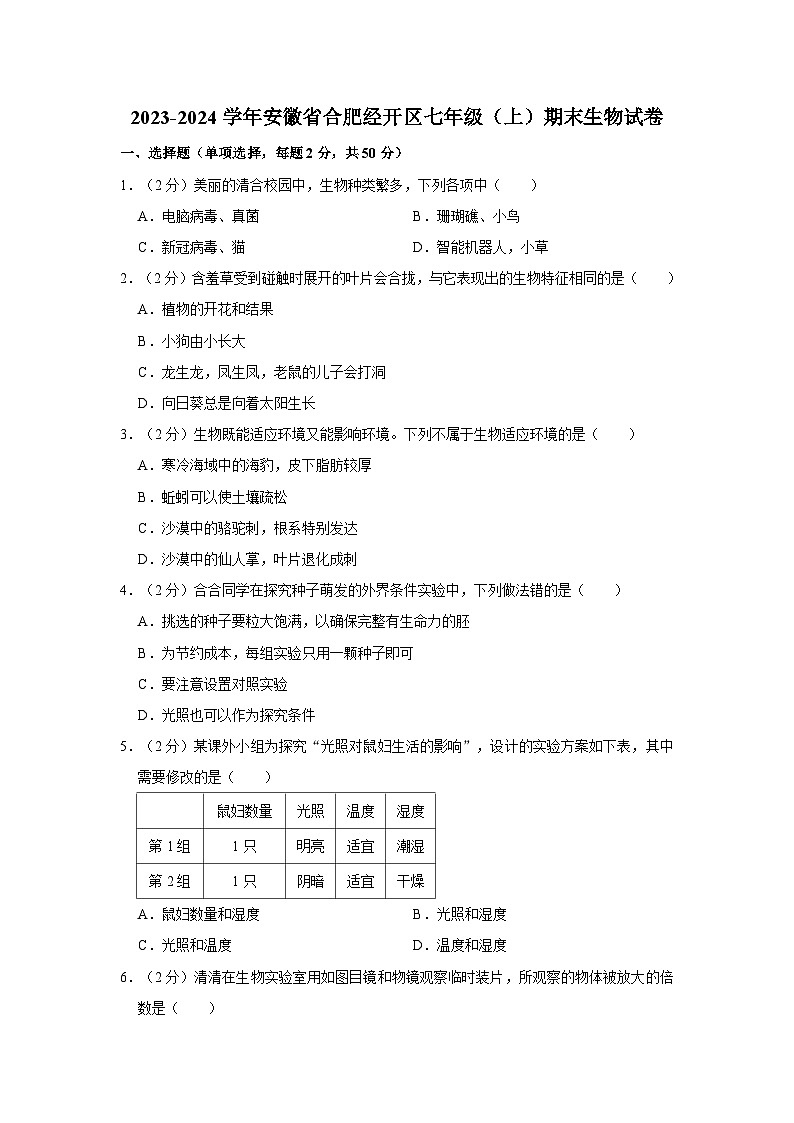 安徽省合肥经开区2023-2024学年七年级上学期期末生物试卷01