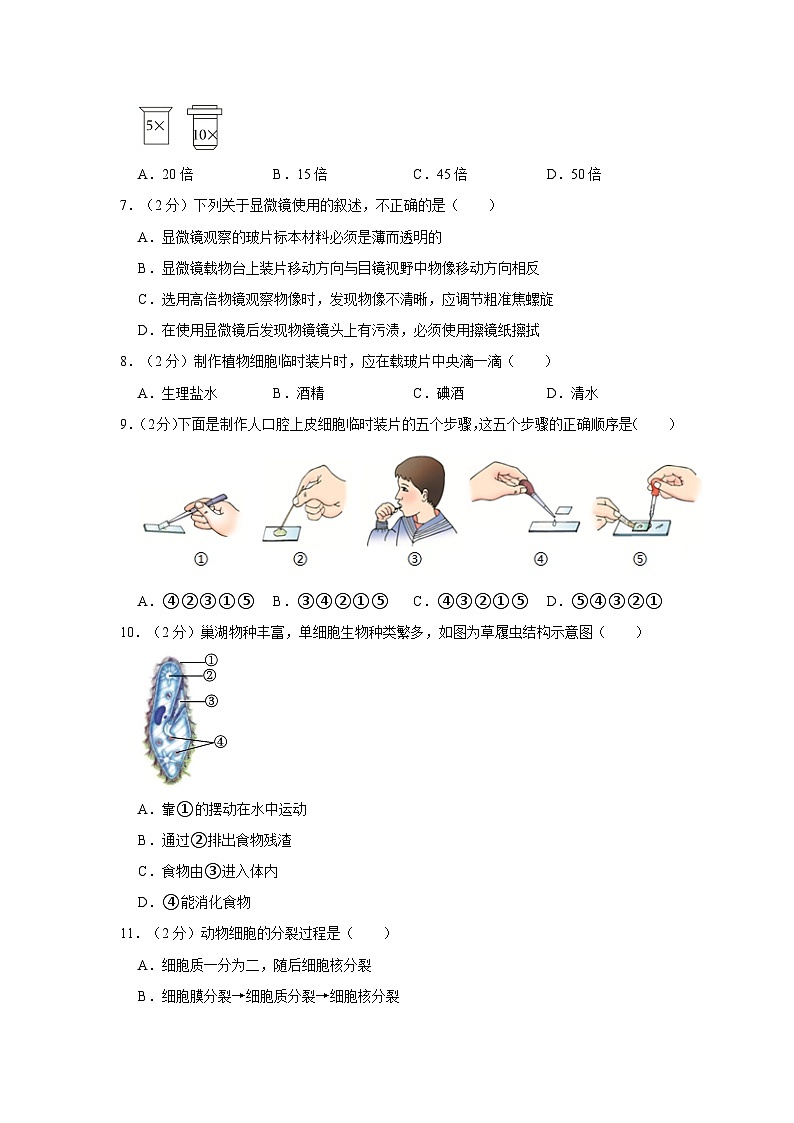 安徽省合肥经开区2023-2024学年七年级上学期期末生物试卷02