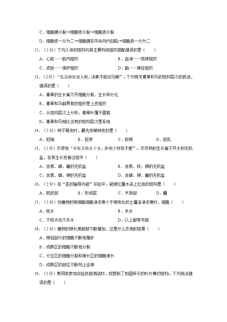 安徽省合肥经开区2023-2024学年七年级上学期期末生物试卷03