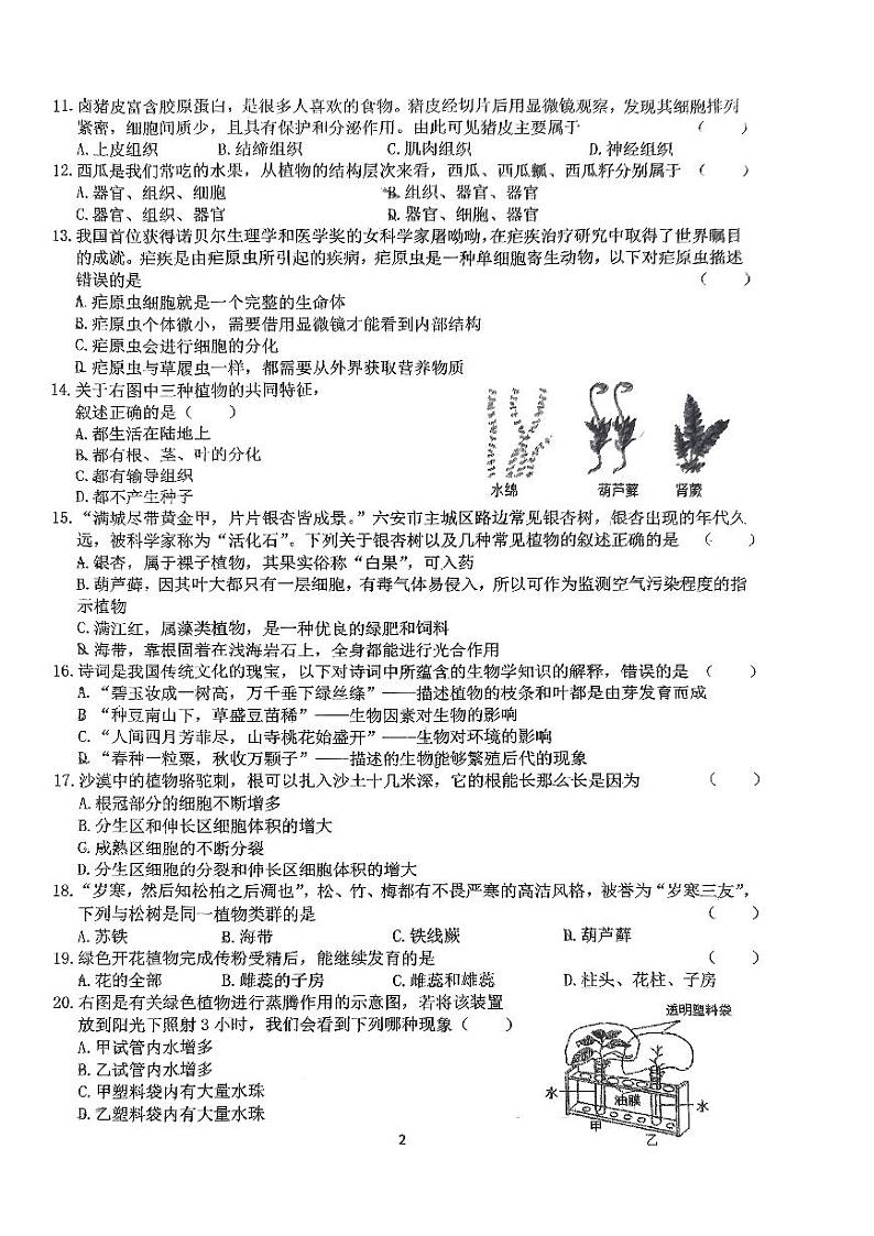 安徽省六安皋城中学2023-2024学年七年级上学期期末生物试题02