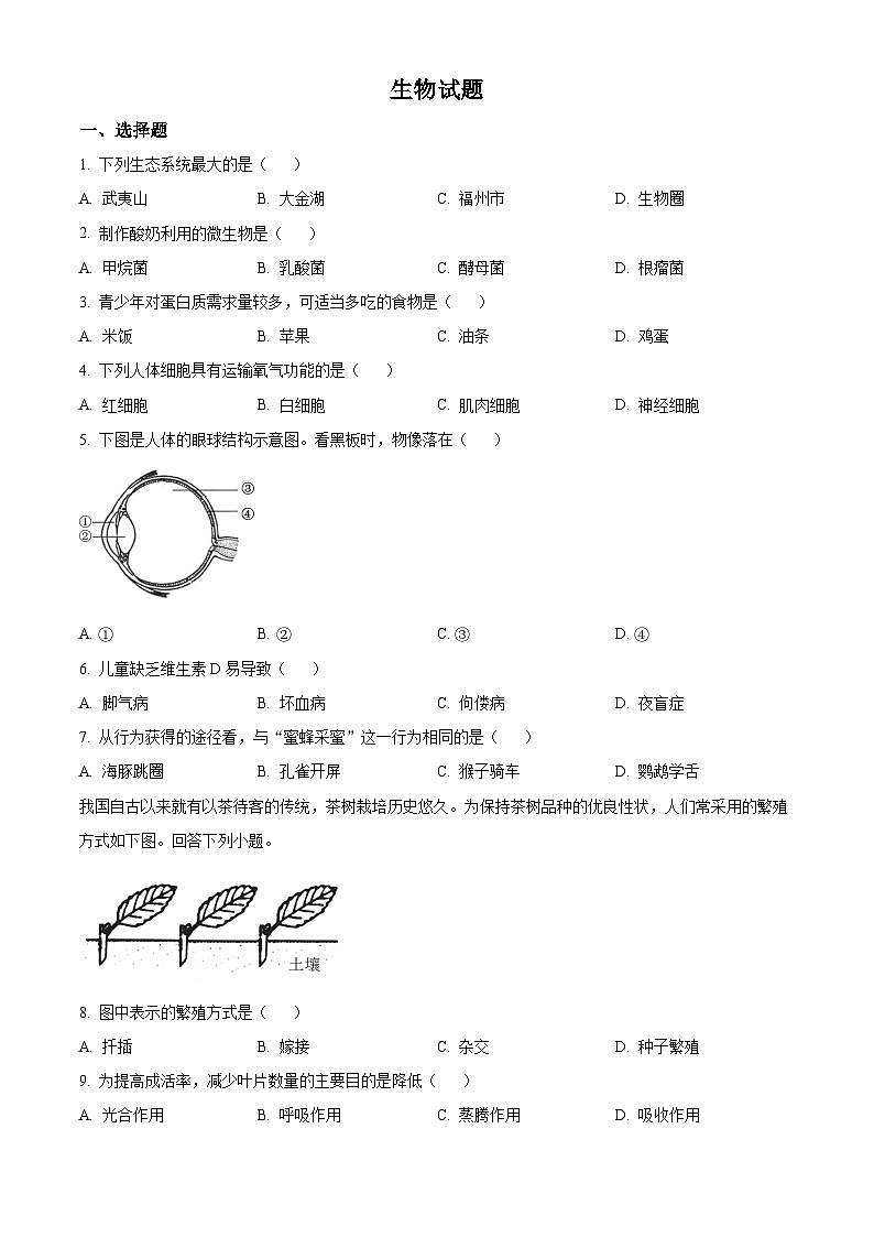 2023年福建省中考生物真题01