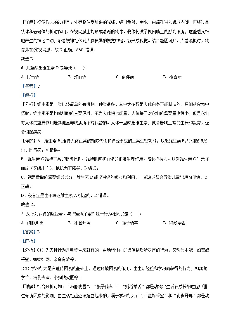 2023年福建省中考生物真题03