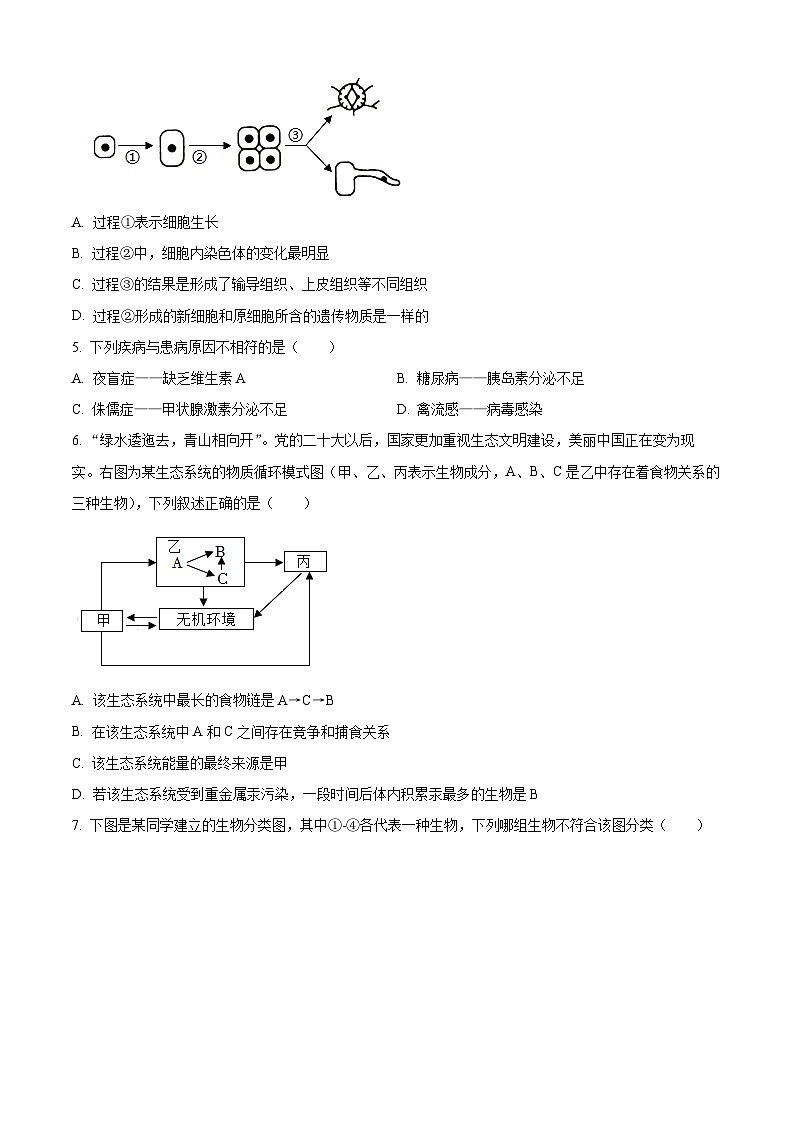 2023年湖南省邵阳市中考生物真题02