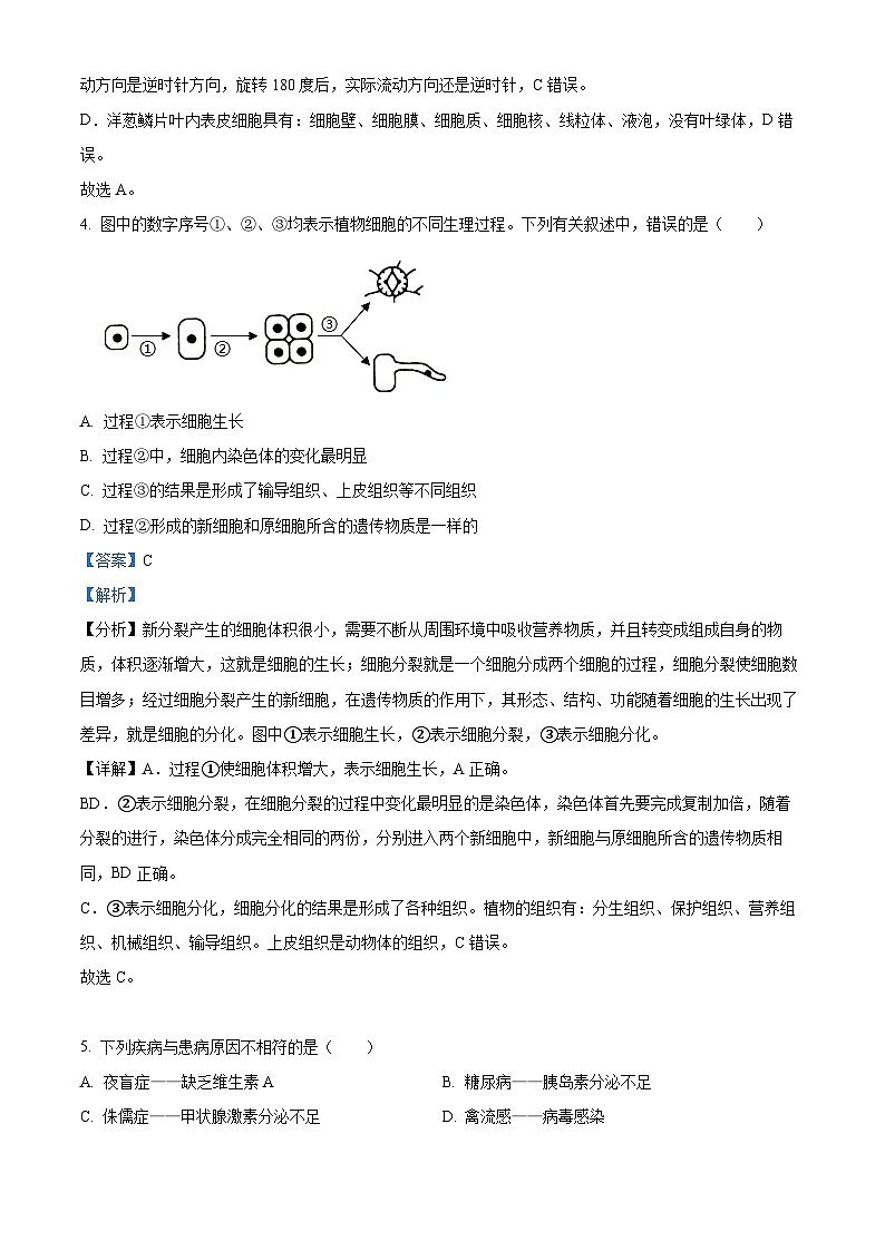 2023年湖南省邵阳市中考生物真题03