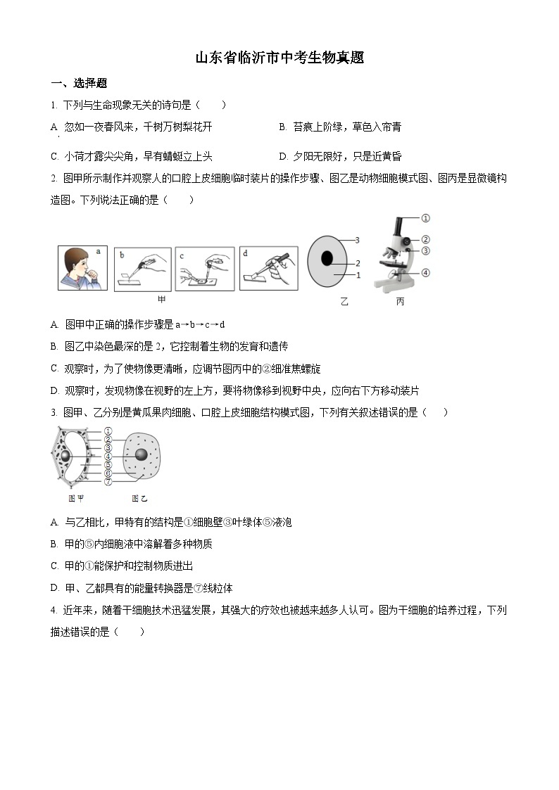 2023年山东省临沂市中考生物真题01