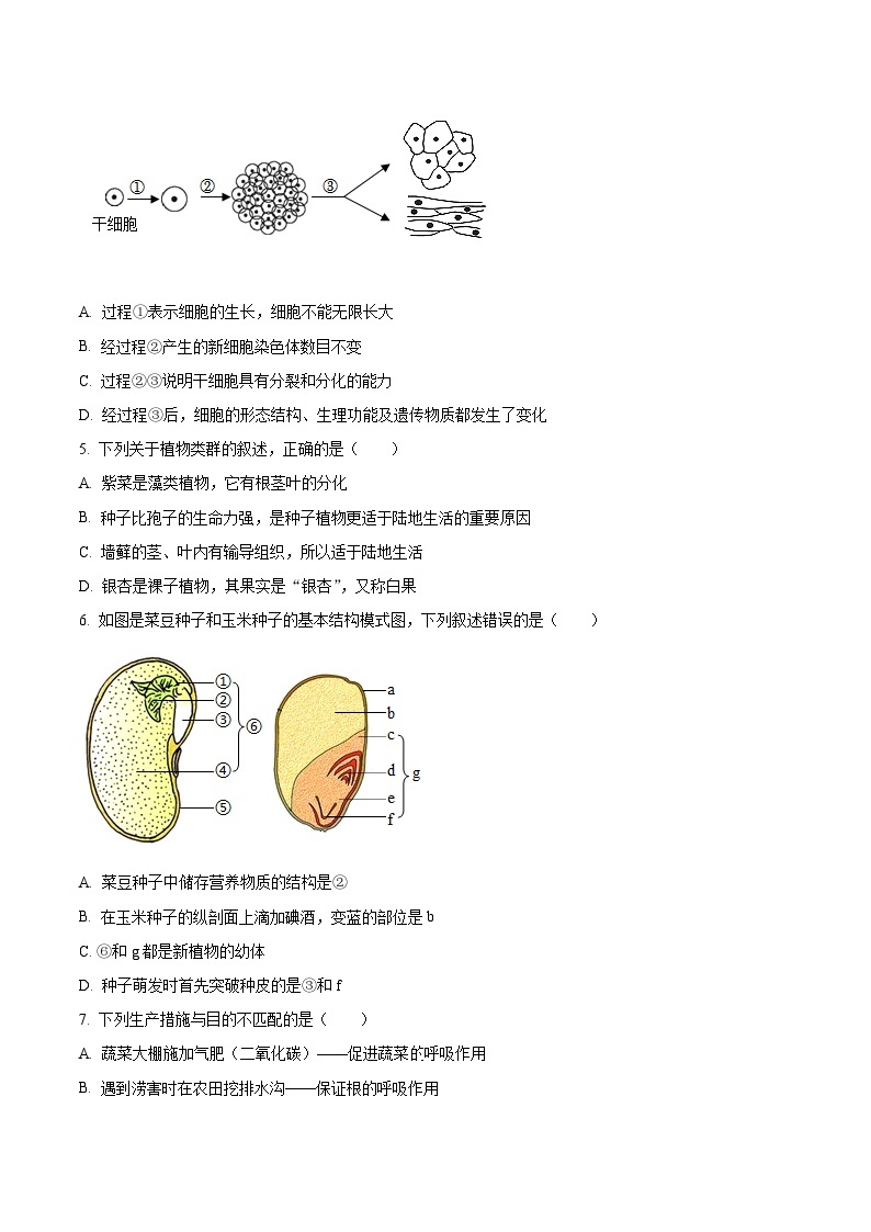 2023年山东省临沂市中考生物真题02