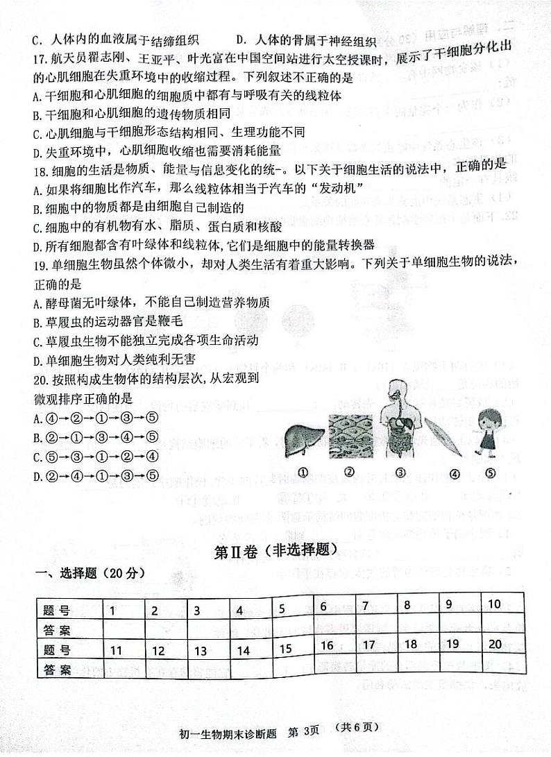 山东省淄博市高青县2023-2024学年六年级上学期期末生物试题(无答案)03