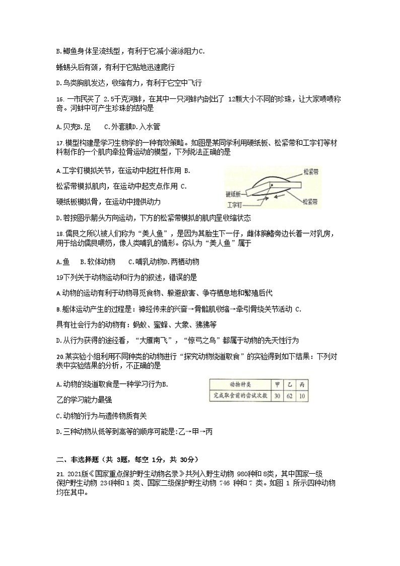 2023-2024学年湖北省黄石市大冶市八年级上学期期中生物试题及答案03