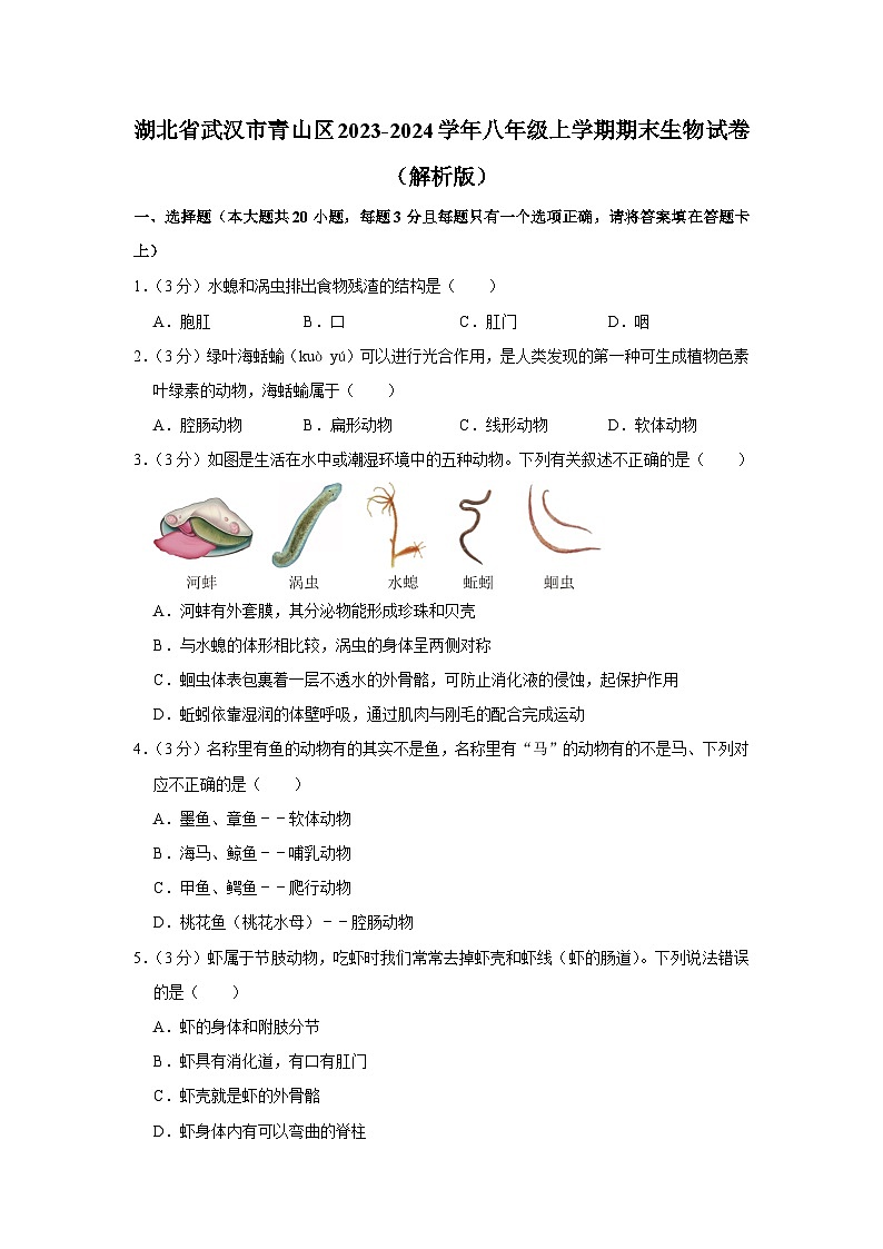 湖北省武汉市青山区2023-2024学年八年级上学期期末生物试卷第1页