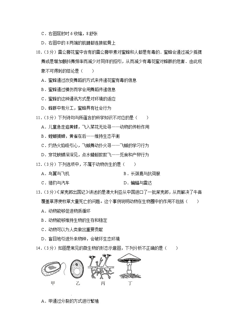 湖北省武汉市青山区2023-2024学年八年级上学期期末生物试卷第3页