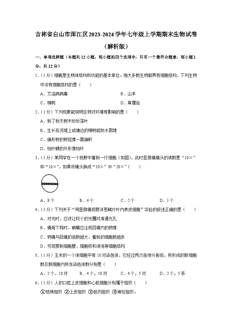 吉林省白山市浑江区2023-2024学年七年级上学期期末生物试卷第1页