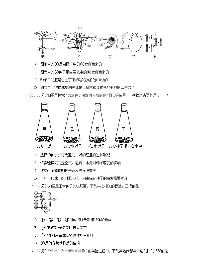 山东省聊城市东阿县第三中学2023-2024学年七年级上学期期末生物试卷03