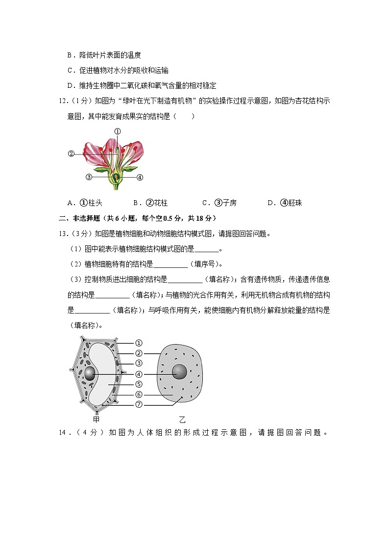 辽宁省铁岭市昌图县2023-2024学年七年级上学期期末生物试卷03