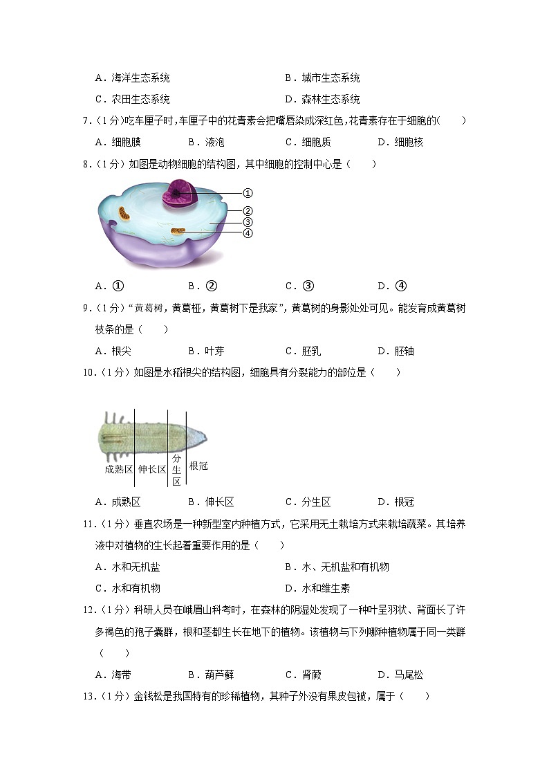 重庆市南川区2023-2024学年七年级上学期期末生物试卷第2页