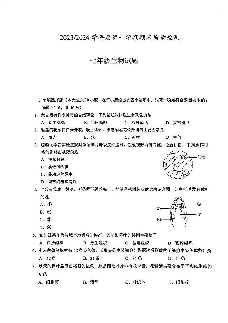 江苏省盐城市盐都区2023-2024学年七年级上学期期末生物试题第1页