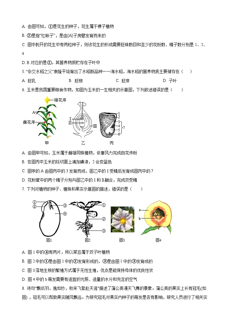 【全套精品专题】初中生物复习专题精讲  八上生物：期中模拟卷【范围：第四单元一二三章】（带答案）第2页