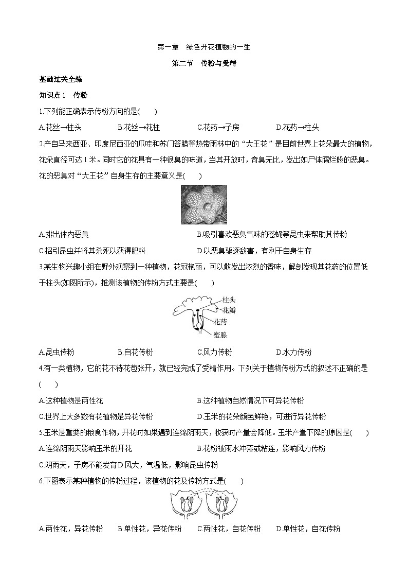 【全套精品专题】济南版 初中八年级上册生物复习专题 精讲  4.1.2 传粉与受精 同步练习（带答案）01