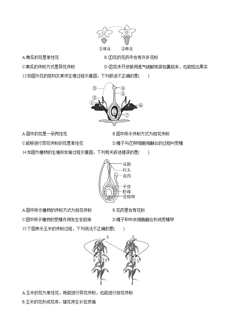 【全套精品专题】济南版 初中八年级上册生物复习专题 精讲  4.1.2 传粉与受精 同步练习（带答案）03