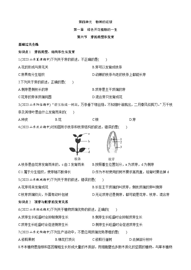 【全套精品专题】济南版 初中八年级上册生物复习专题 精讲  4.1.6 芽的类型和发育 同步练习（带答案）01