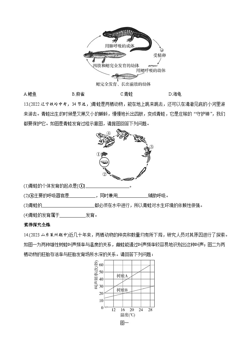 【全套精品专题】济南版 初中八年级上册生物复习专题 精讲  4.2.2 两栖动物的生殖和发育（带答案） 同步练习03