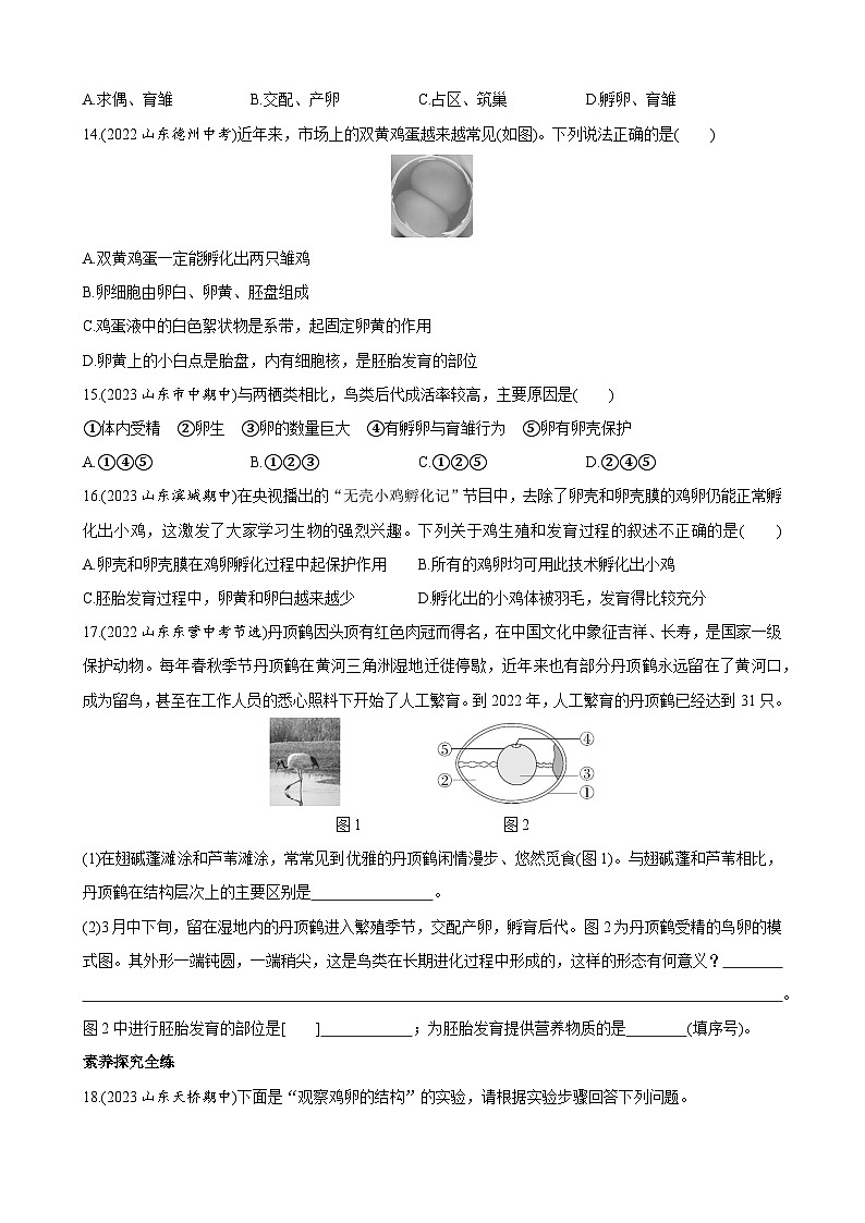 【全套精品专题】济南版 初中八年级上册生物复习专题 精讲  4.2.3 鸟的生殖和发育 同步练习（带答案）03