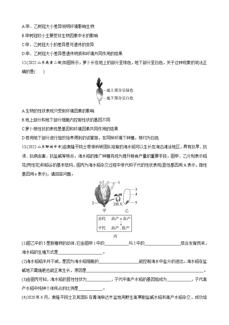 【全套精品专题】济南版 初中八年级上册生物复习专题 精讲  4.4.4 生物的变异 同步练习（带答案）03