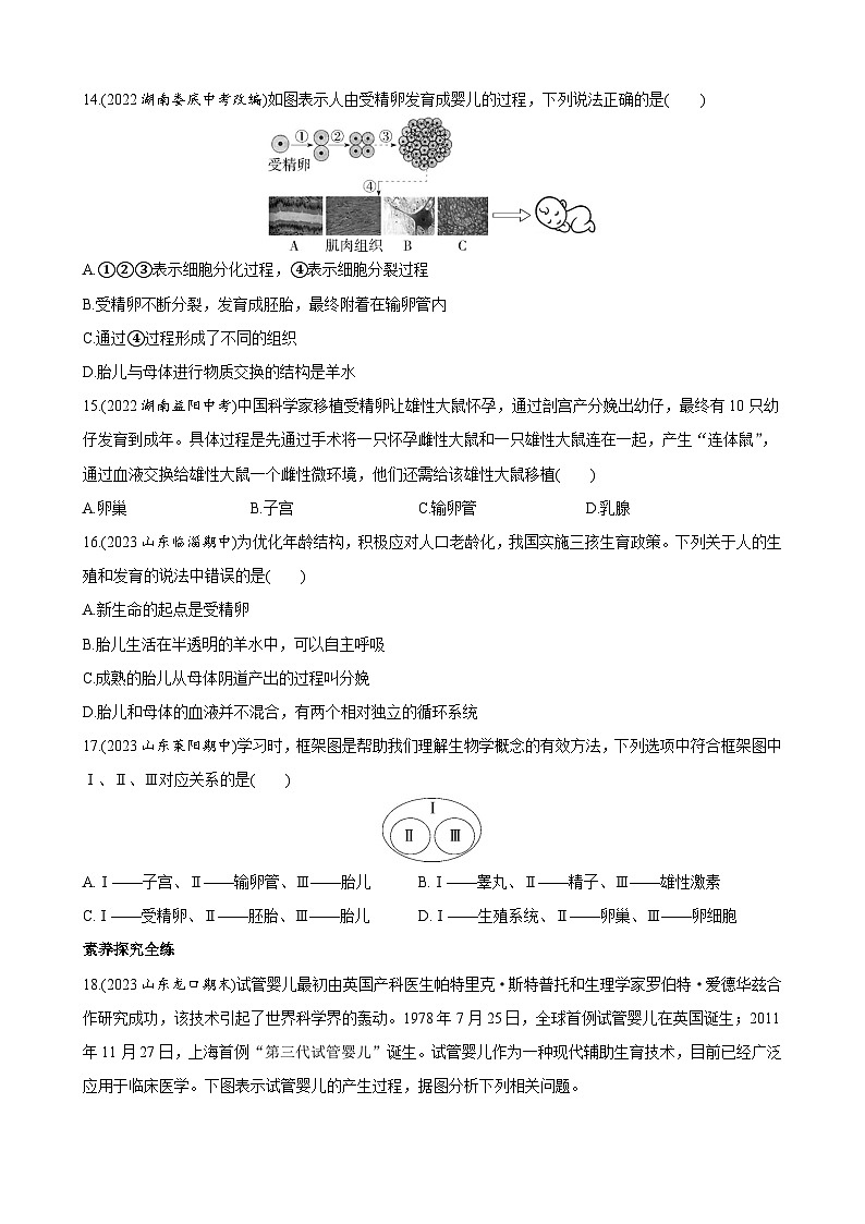 【全套精品专题】济南版 初中八年级上册生物复习专题 精讲 4.3.1 婴儿的诞生 同步练习（带答案）03