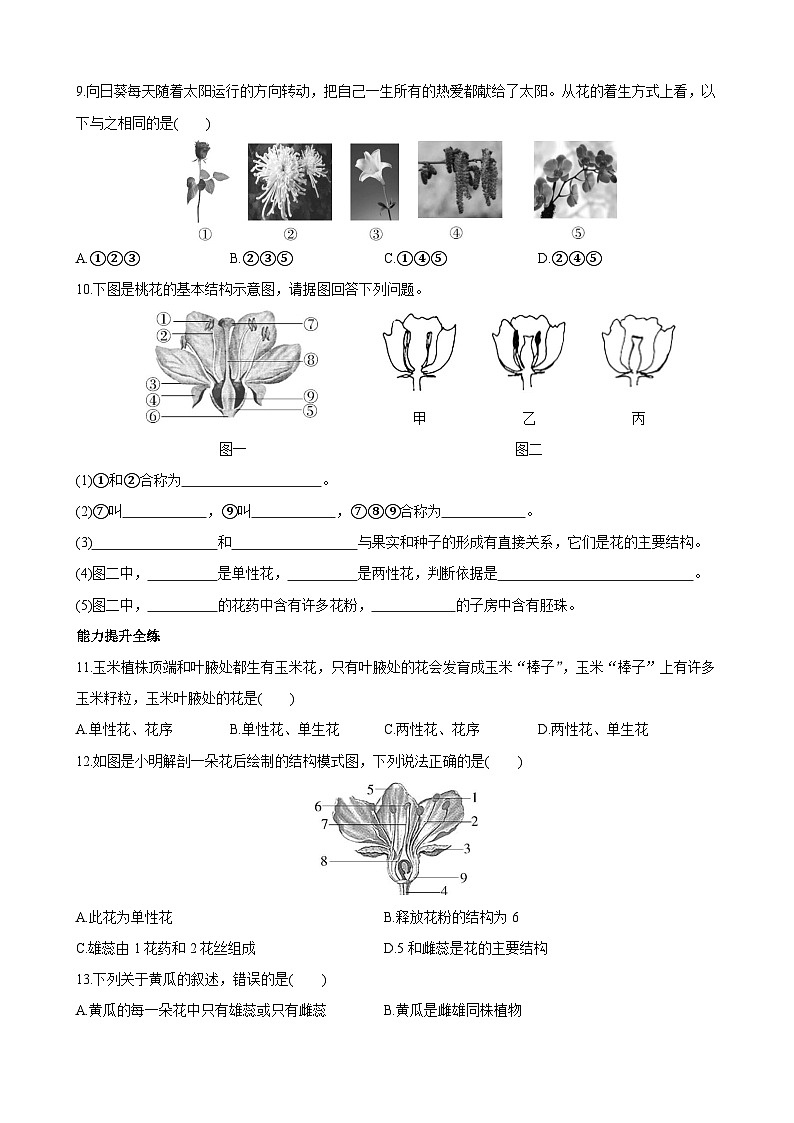 【全套精品专题】济南版 初中八年级上册生物复习专题 精讲  4.1.1 花的结构和类型 同步练习（带答案）02