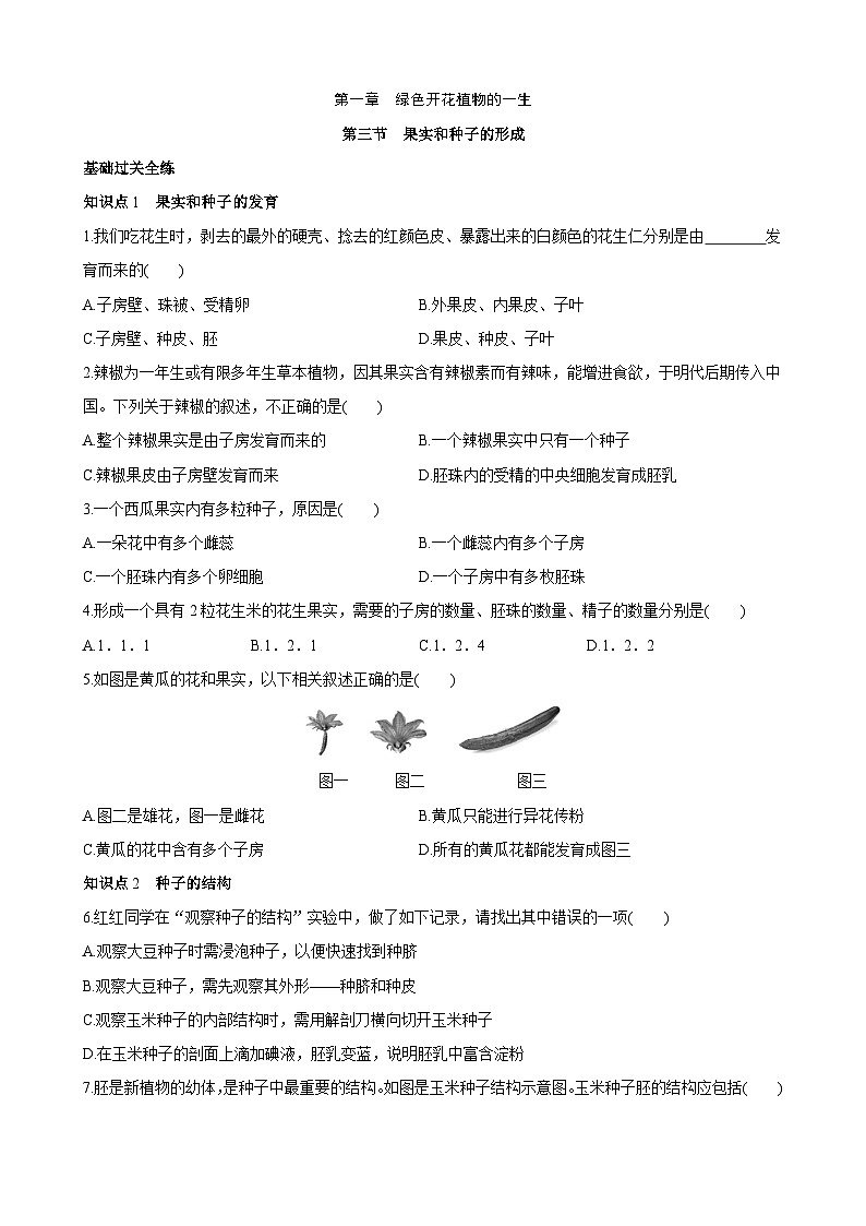 【全套精品专题】济南版 初中八年级上册生物复习专题 精讲  4.1.3 果实和种子的形成 同步练习（带答案）01