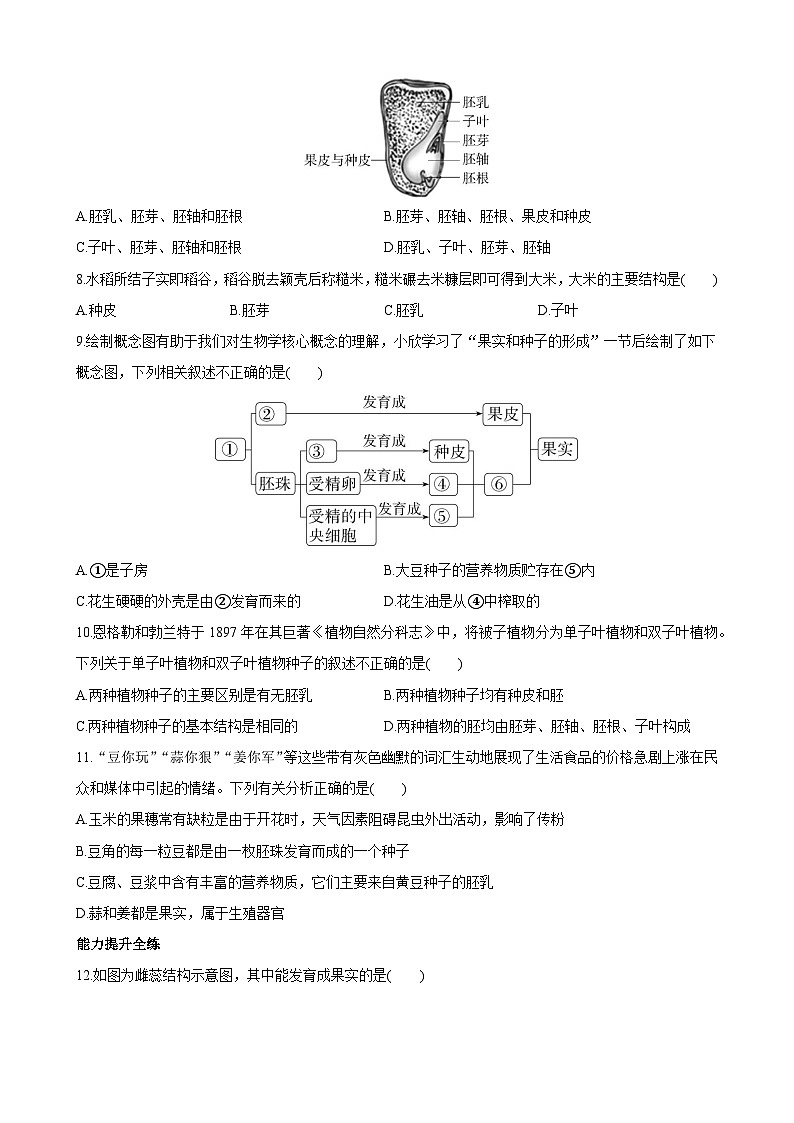 【全套精品专题】济南版 初中八年级上册生物复习专题 精讲  4.1.3 果实和种子的形成 同步练习（带答案）02