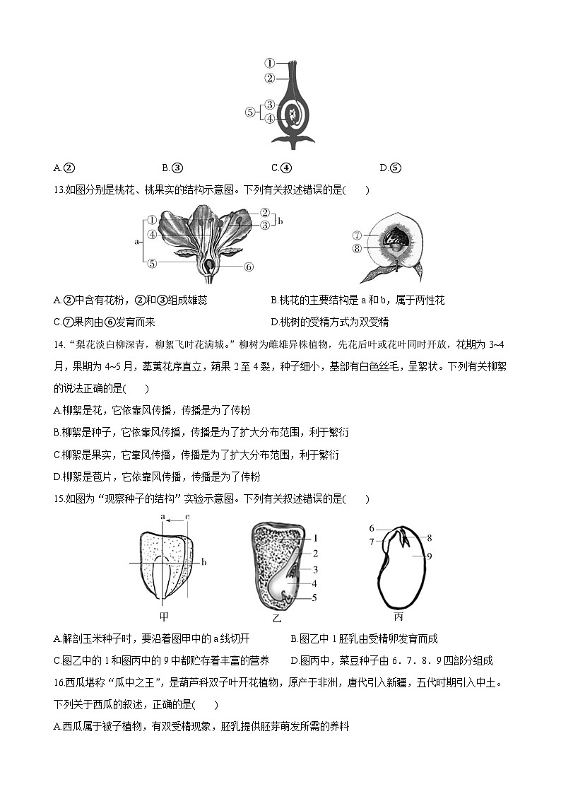 【全套精品专题】济南版 初中八年级上册生物复习专题 精讲  4.1.3 果实和种子的形成 同步练习（带答案）03