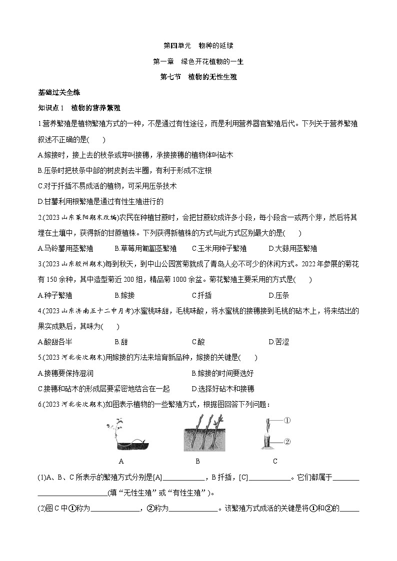 【全套精品专题】济南版 初中八年级上册生物复习专题 精讲  4.1.7 植物的无性生殖 同步练习（带答案）01