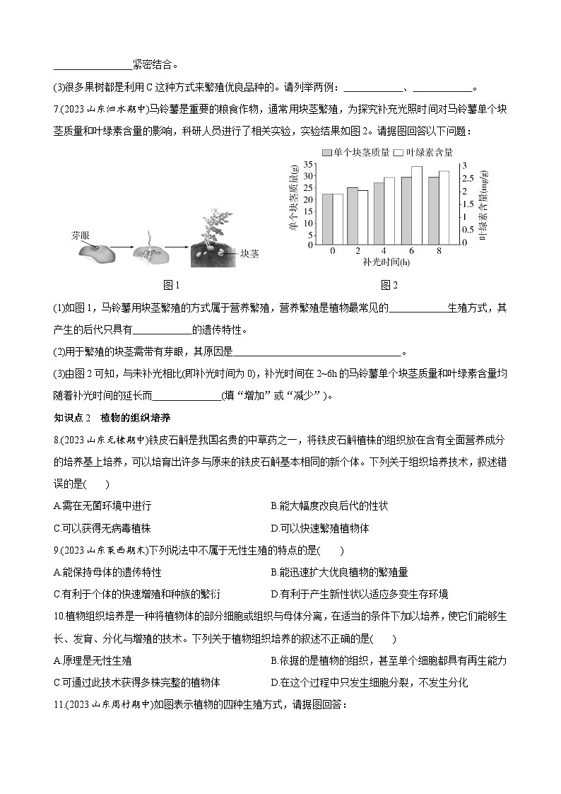 【全套精品专题】济南版 初中八年级上册生物复习专题 精讲  4.1.7 植物的无性生殖 同步练习（带答案）02