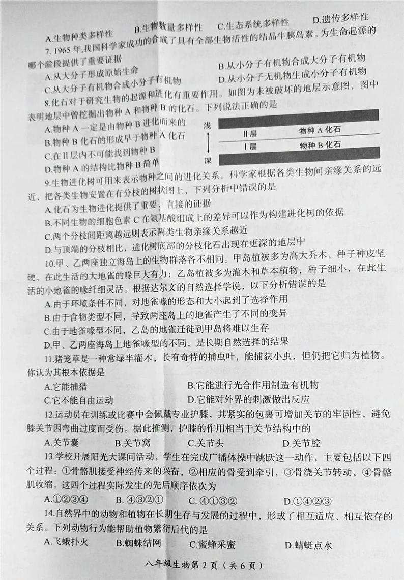 河南省洛阳市2023-2024学年八年级上学期1月期末生物试题02