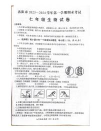 河南省洛阳市2023-2024学年七年级上学期期末考试生物试卷