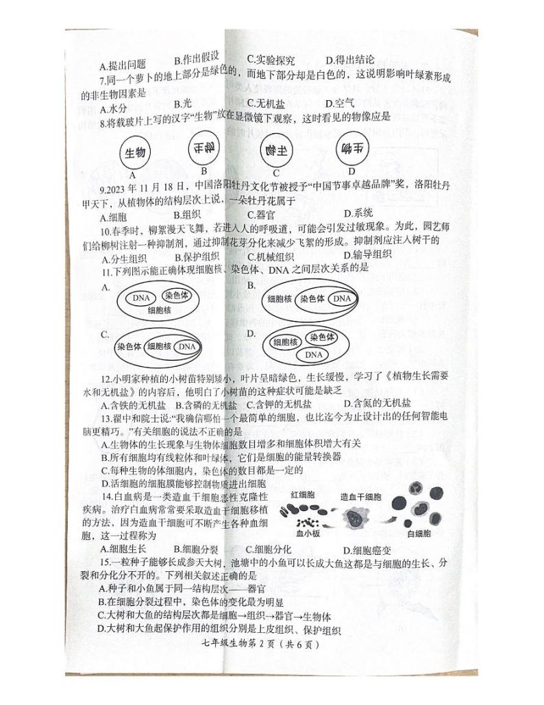 河南省洛阳市2023-2024学年七年级上学期期末考试生物试卷02