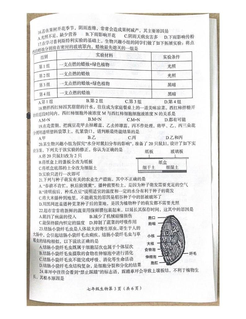 河南省洛阳市2023-2024学年七年级上学期期末考试生物试卷03