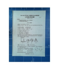 山东省临沂市郯城县2023--2024学年七年级上学期期末生物试题