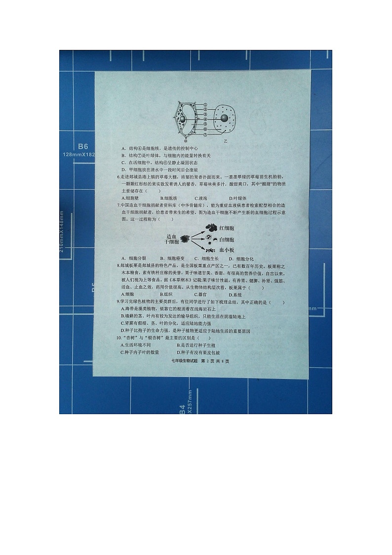 山东省临沂市郯城县2023--2024学年七年级上学期期末生物试题02